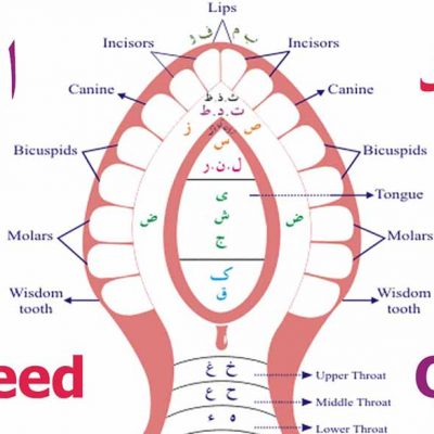 Learn Tajweed online